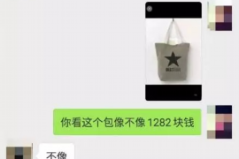 城中为什么选择专业追讨公司来处理您的债务纠纷？